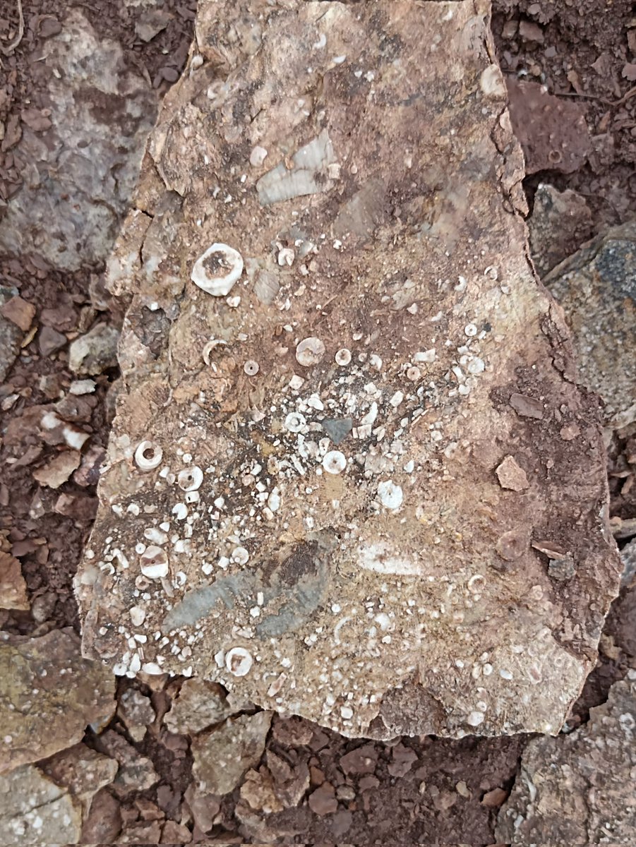 Beobachter KRG tweet media