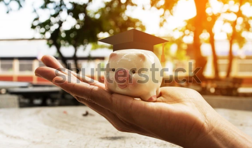 Maitree Rim tweet media