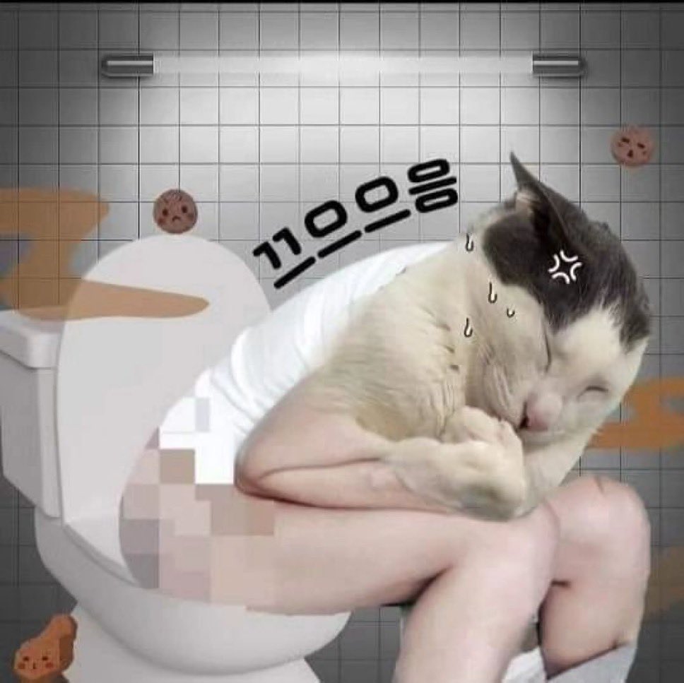 콘디름 tweet media