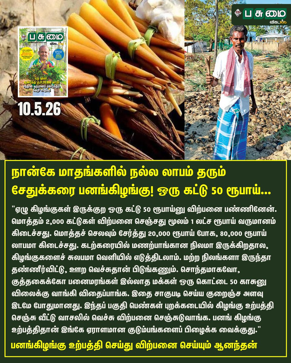 PasumaiVikatan's tweet image. Full Article Link - vikatan.com/agriculture/se…

நான்கே மாதங்களில் நல்ல லாபம் தரும் சேதுக்கரை பனங்கிழங்கு! - ஒரு கட்டு 50 ரூபாய்...

#PasumaiVikatan | #Magazine