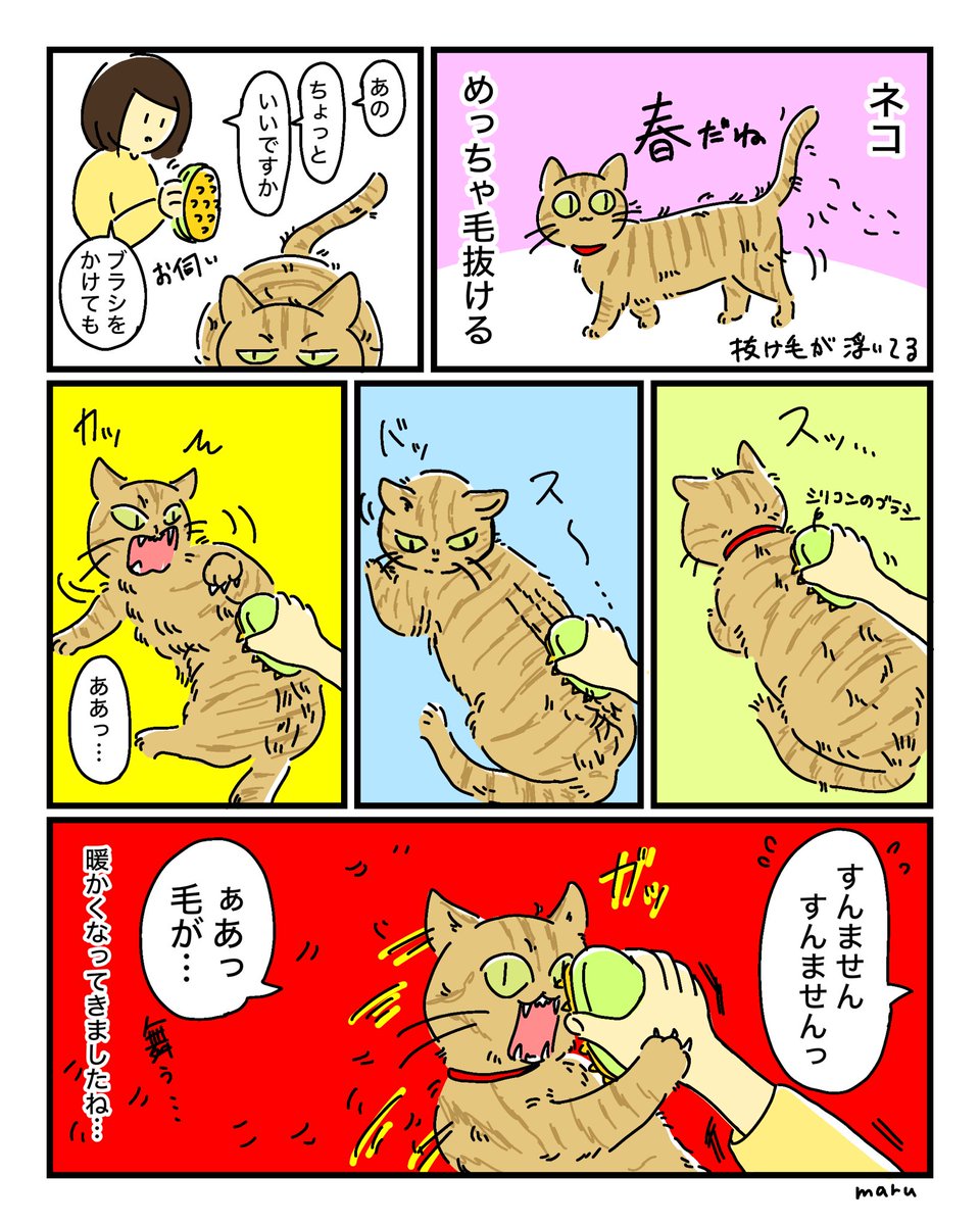 春…抜け毛の季節…毎年…キレられています… 