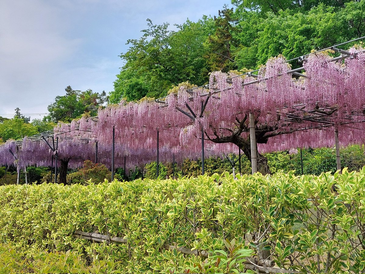 えぃこ tweet media