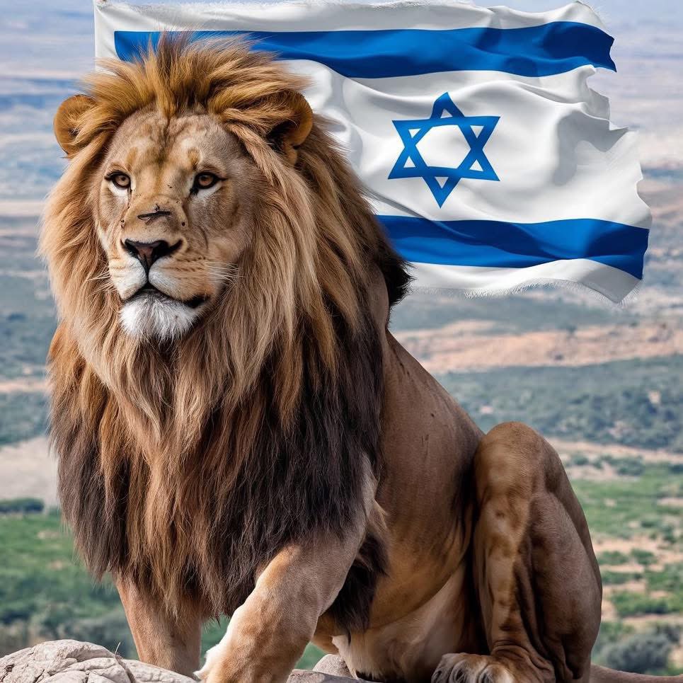 🇬🇧🚕David M 🚕🇮🇱 tweet media