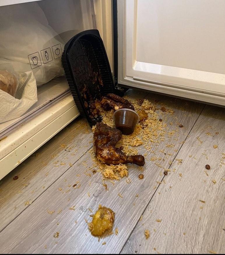 emirate🕊️ tweet media