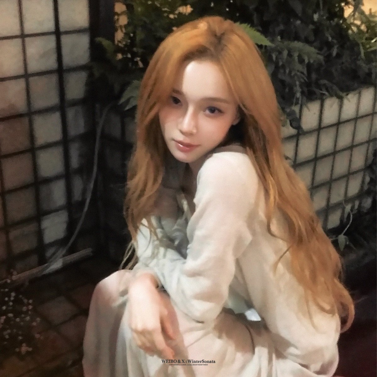 WinterSonata tweet media