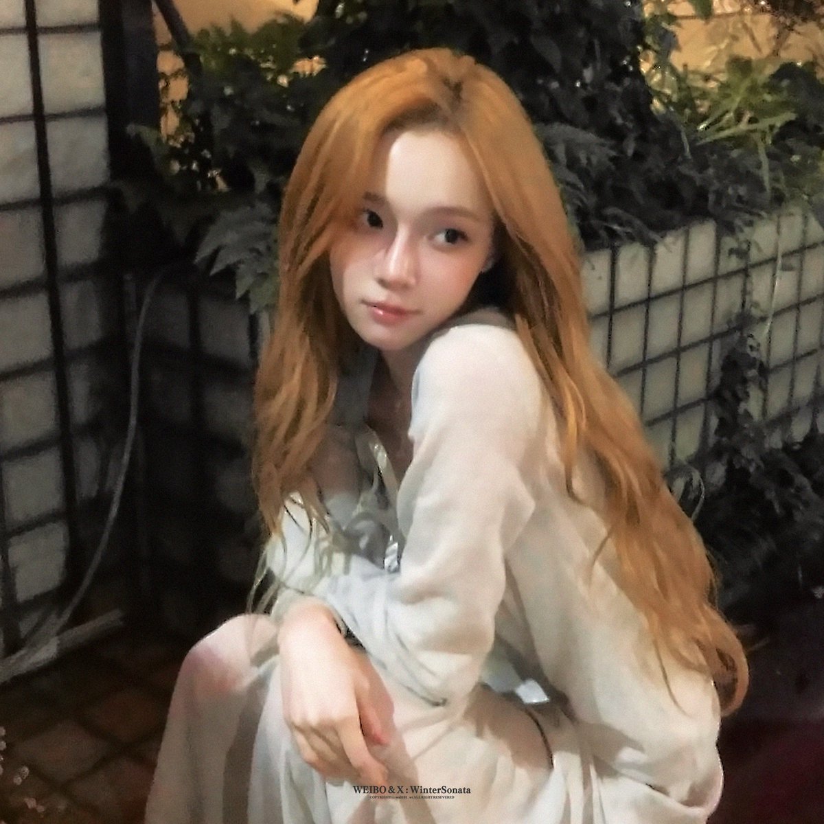 WinterSonata tweet media