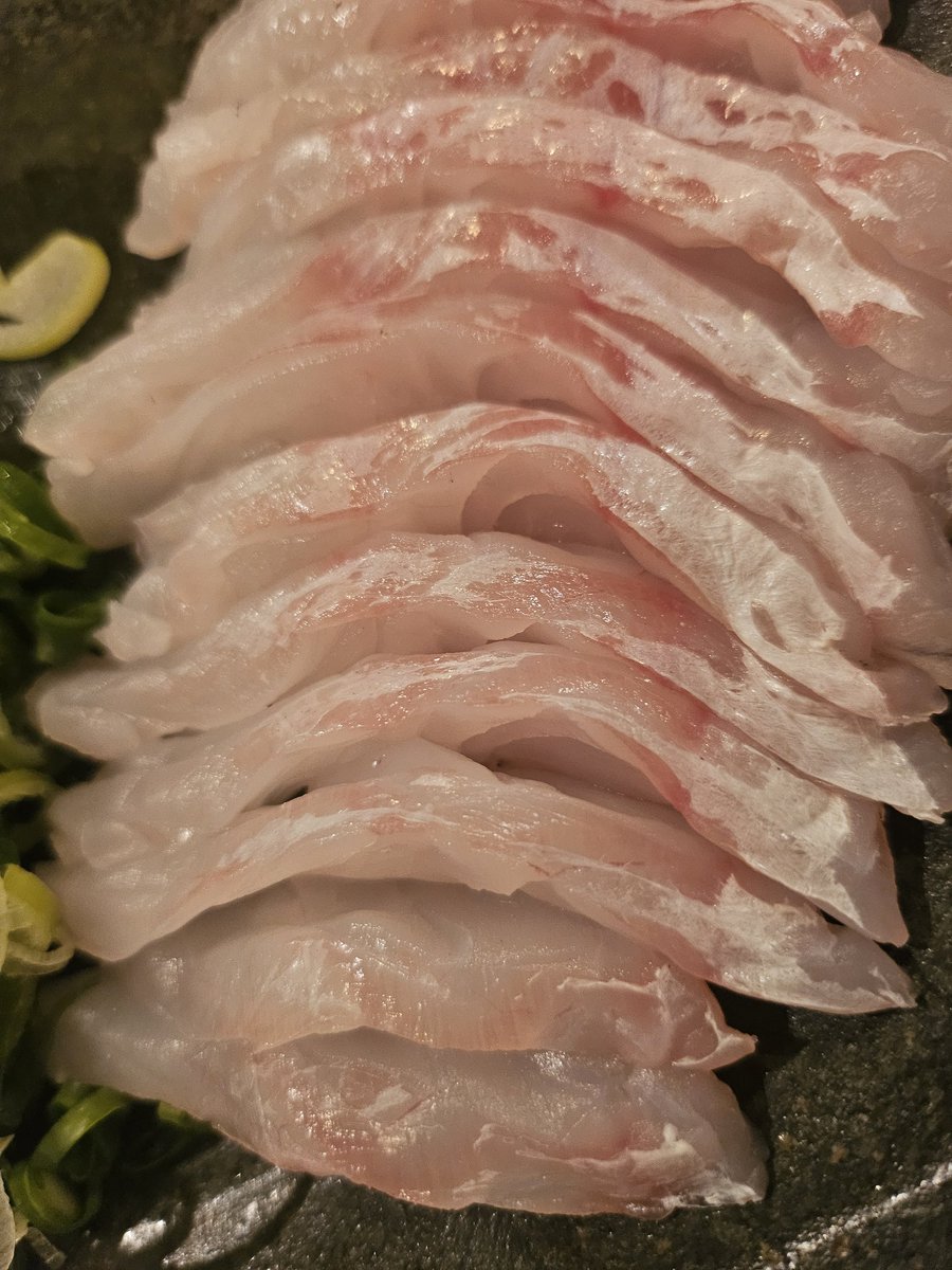 Mikihiro Sato/おさかなトランペッター tweet media