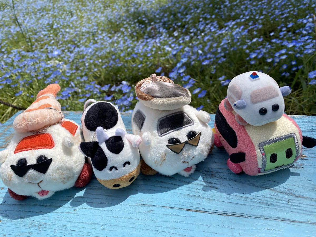 はちぽ tweet media