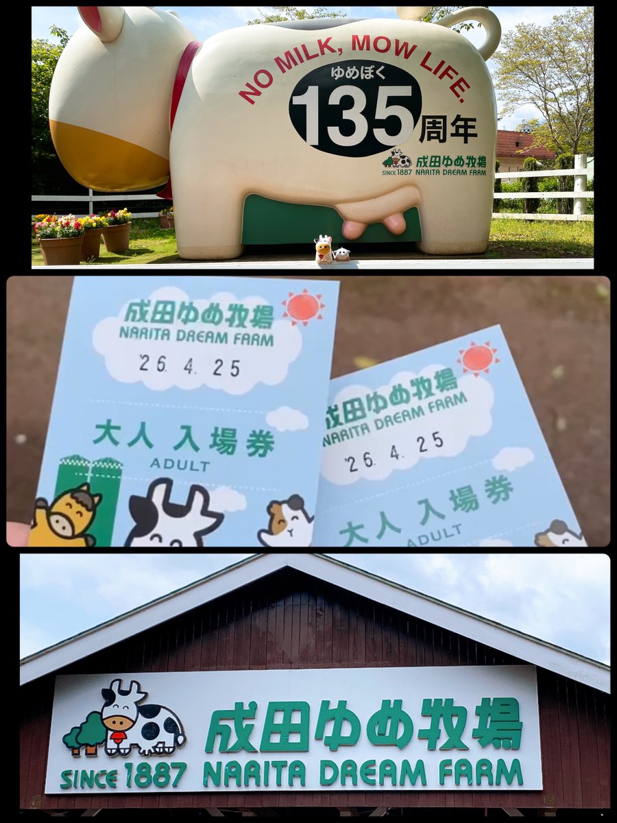 はちぽ tweet media