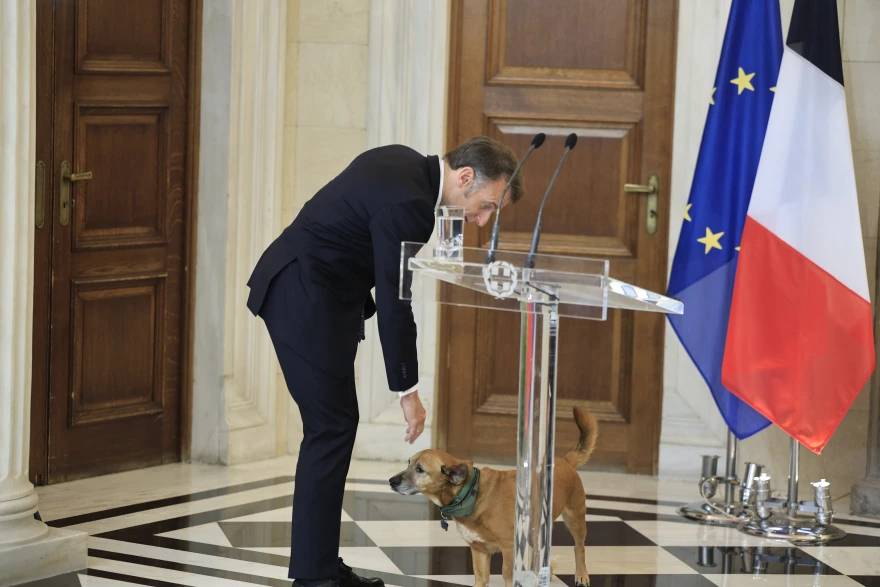 Nomadpossum 🐟🇬🇷 tweet media