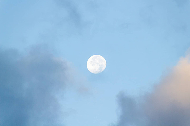 rahimfaid tweet media