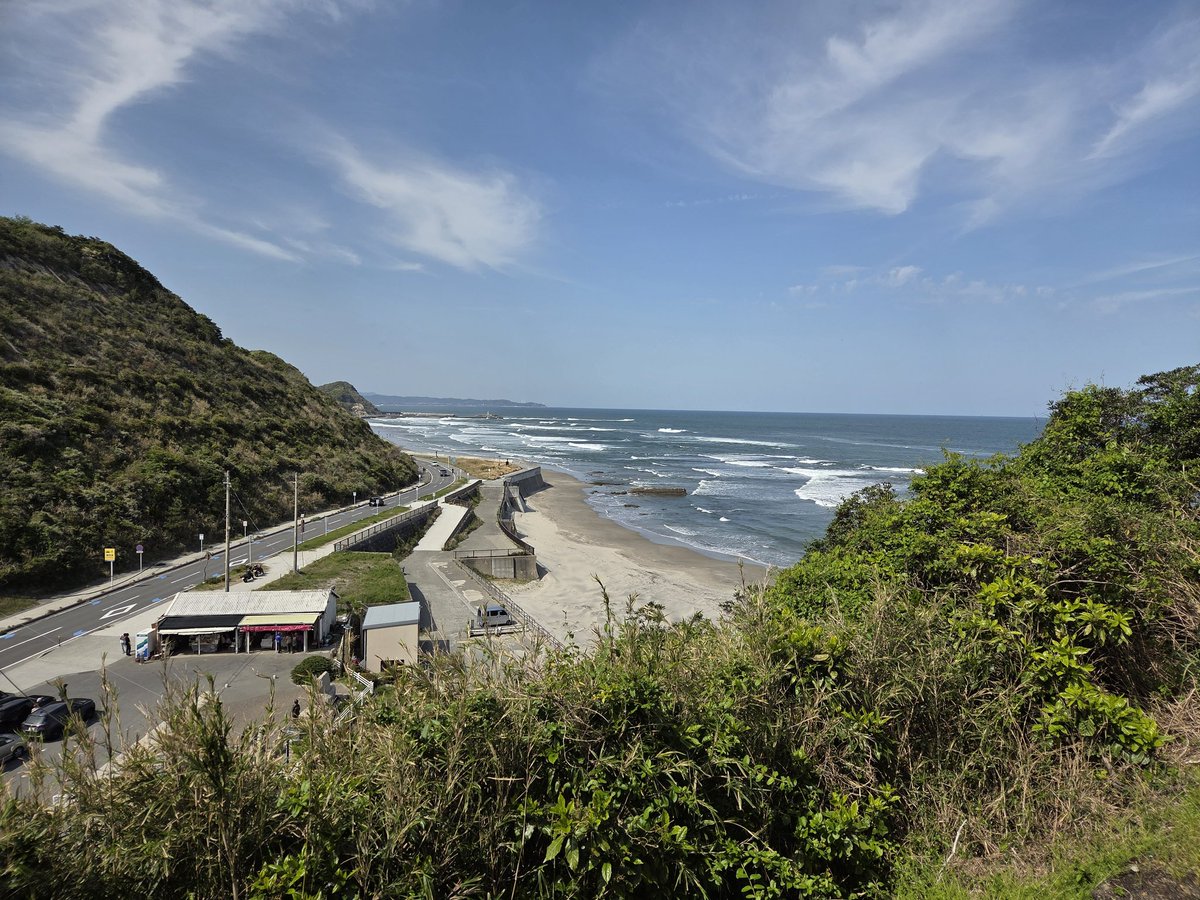 🐈てんた🌱 tweet media