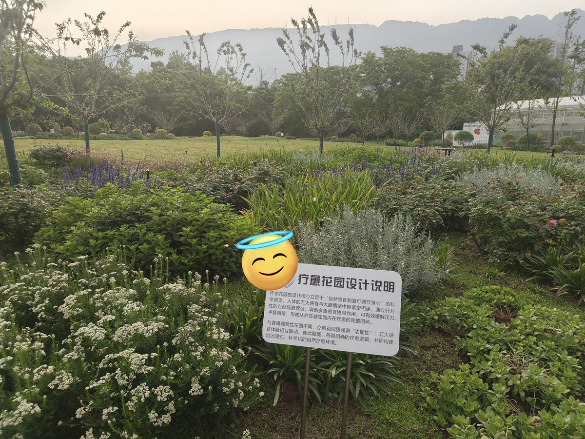元序 tweet media