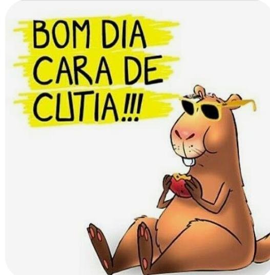 pudinzinha 🍮 tweet media