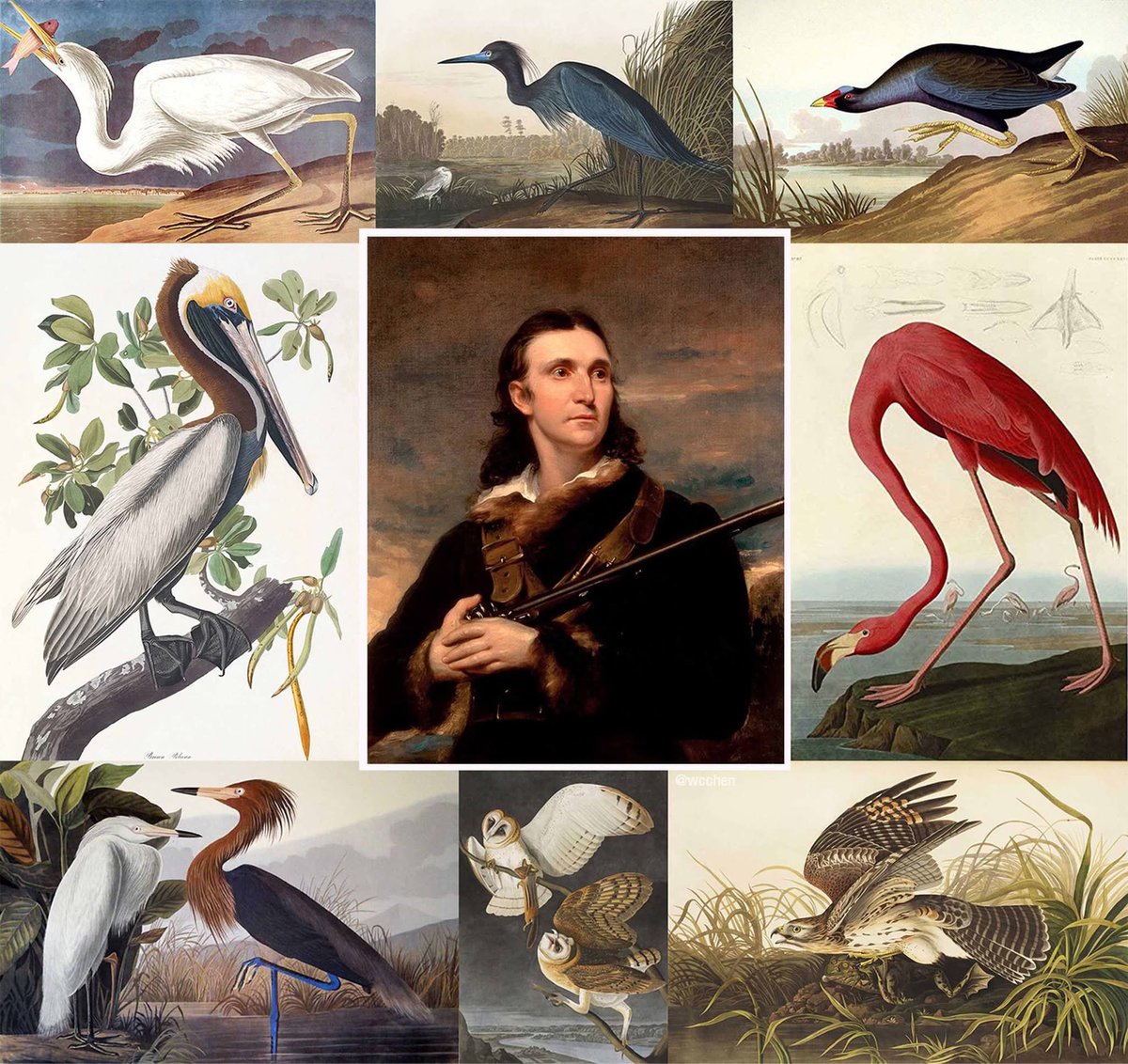 wcchen's tweet image. John James Audubon (26 Apr 1785 – 27 Jan 1851) Legendary American artist, naturalist, ornithologist, born 241 years ago today in Les Cayes, Saint-Domingue (later #Haiti). The Audubon Naturalist Society announced  2021 plan to change name, citing Audubon's ownership of slaves,