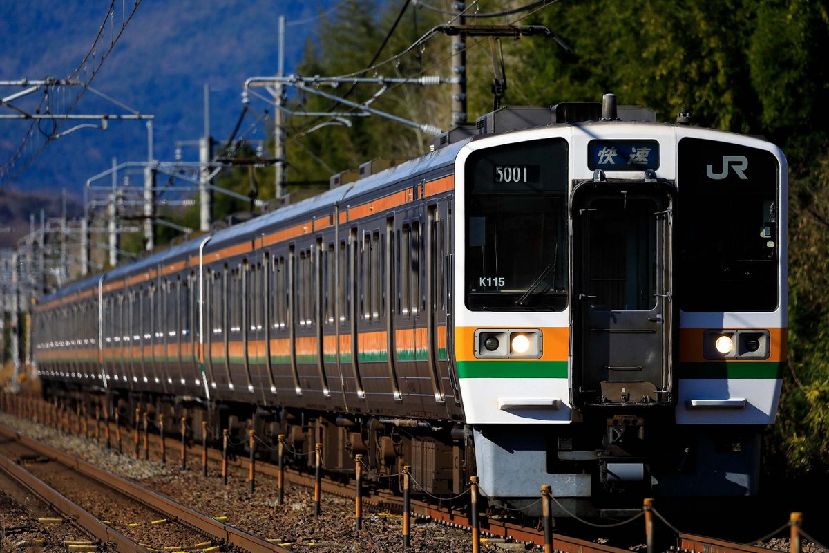 さろは tweet media