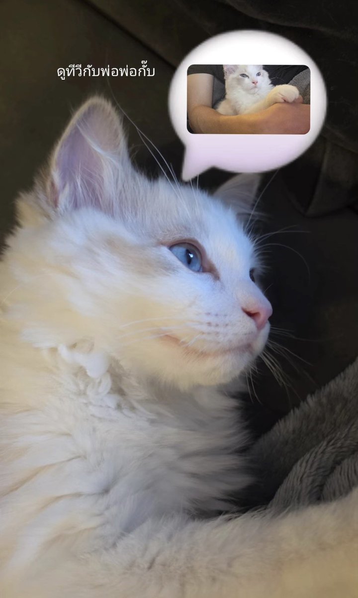 bebni🌷 tweet media