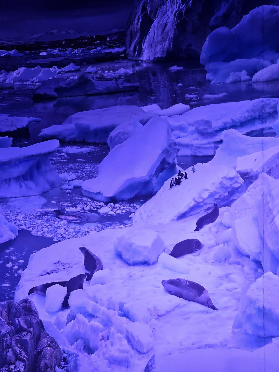 VMrusek's tweet image. Antarktis #Panometer #Leipzig