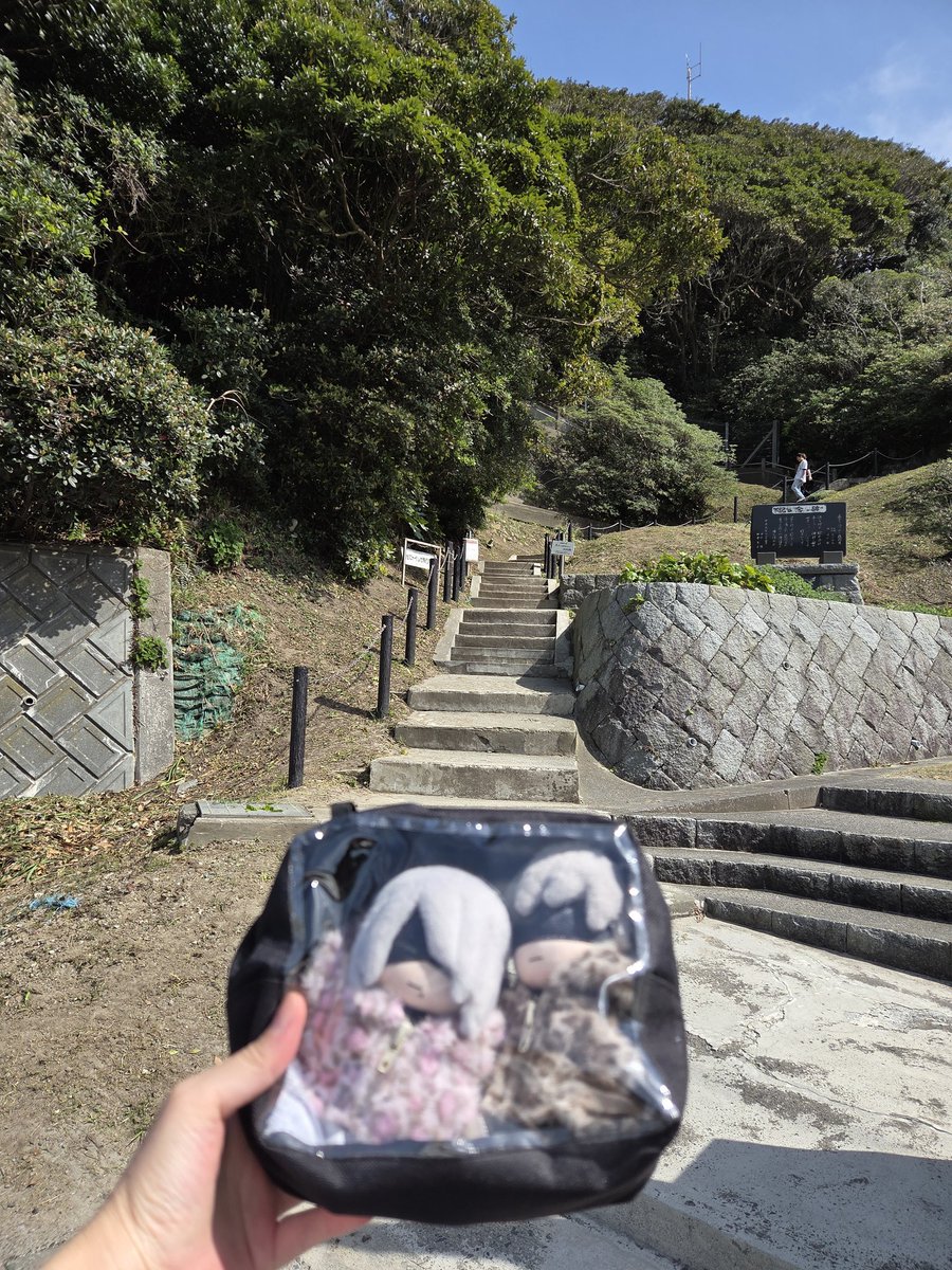 🐈てんた🌱 tweet media