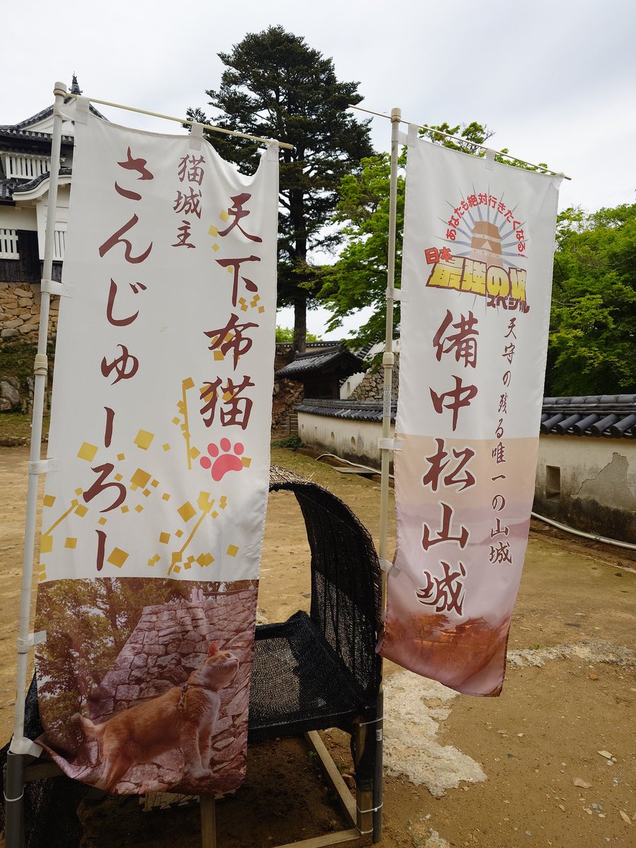 ぶる～すBLUES tweet media
