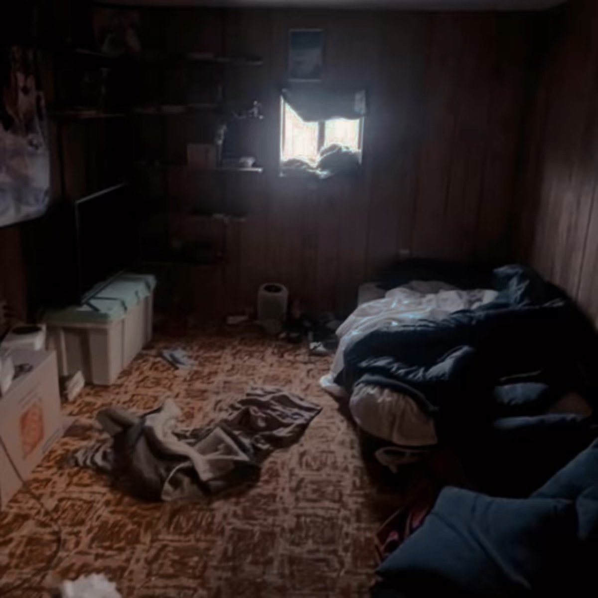 𝒏͟𝒐͟𝒕͟ ͟𝒂͟ ͟𝒇͟𝒊͟𝒈͟𝒉͟𝒕͟𝒆͟𝒓͟ tweet media