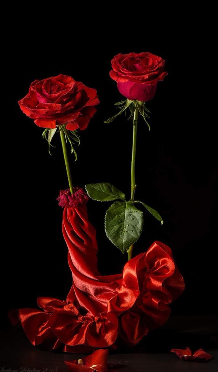 محمد ابو عسل tweet media