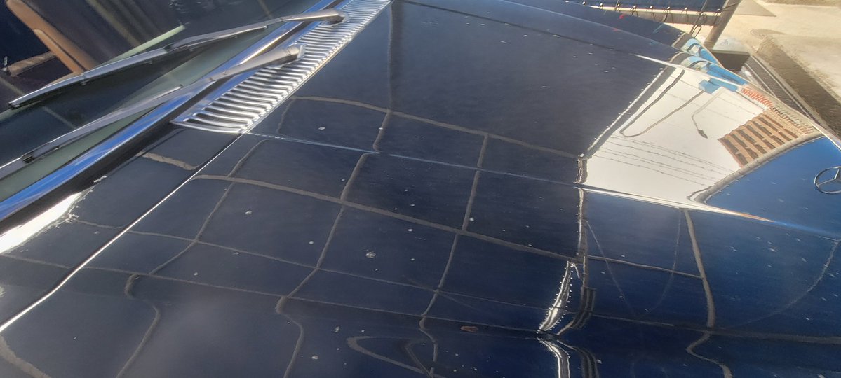 ささちゃん3 tweet media