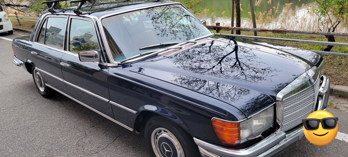 ささちゃん3 tweet media