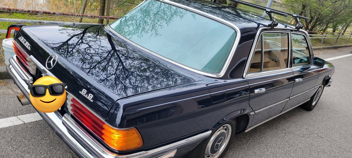 ささちゃん3 tweet media