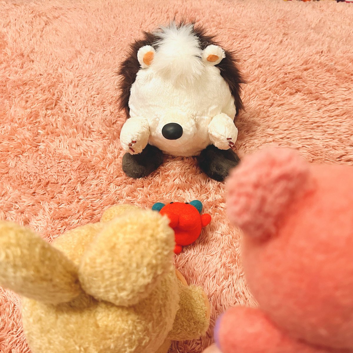 パッチャ🔴✨ tweet media