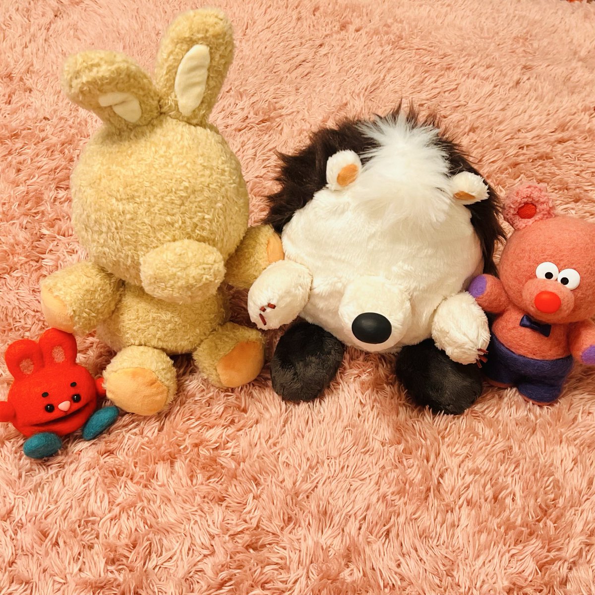 パッチャ🔴✨ tweet media