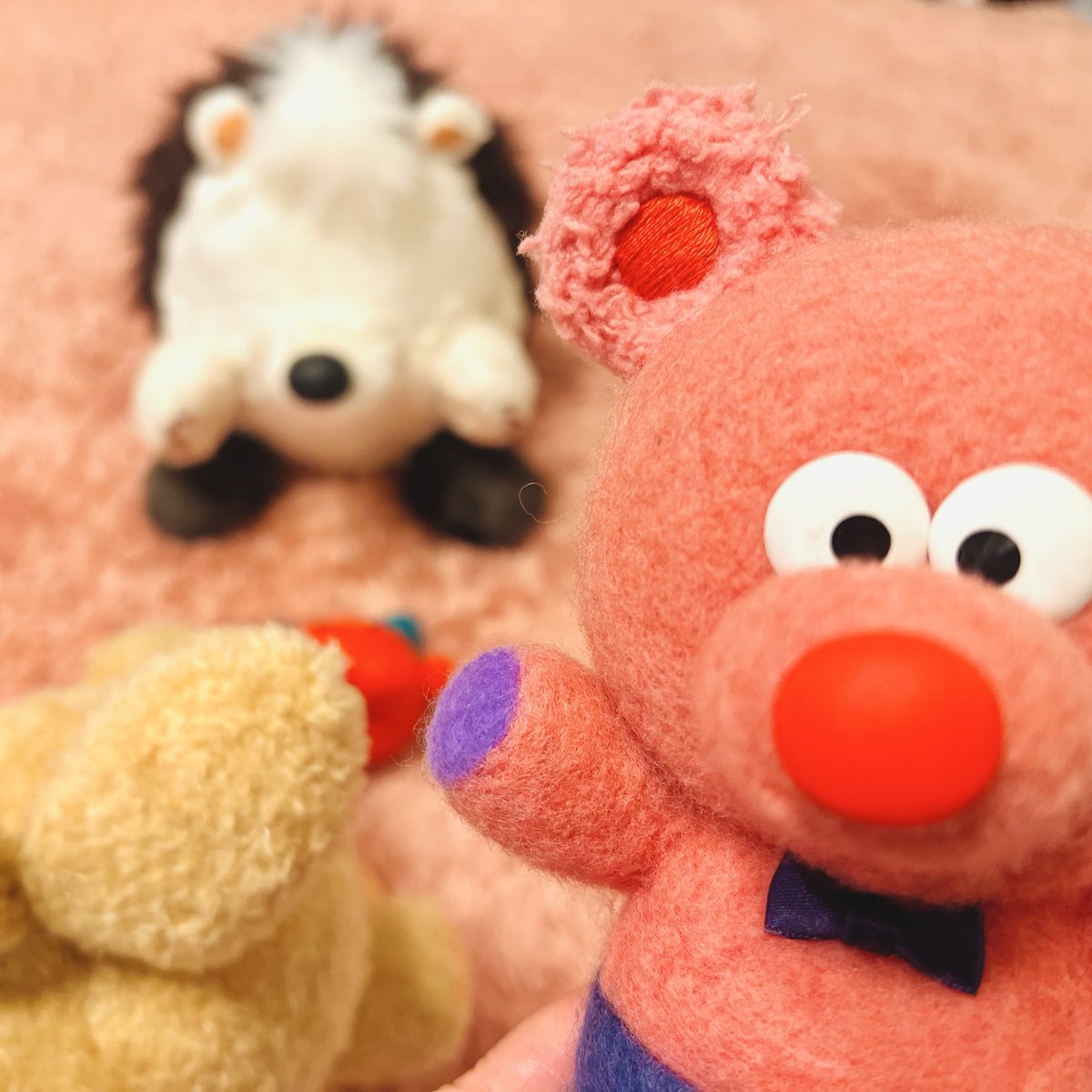 パッチャ🔴✨ tweet media