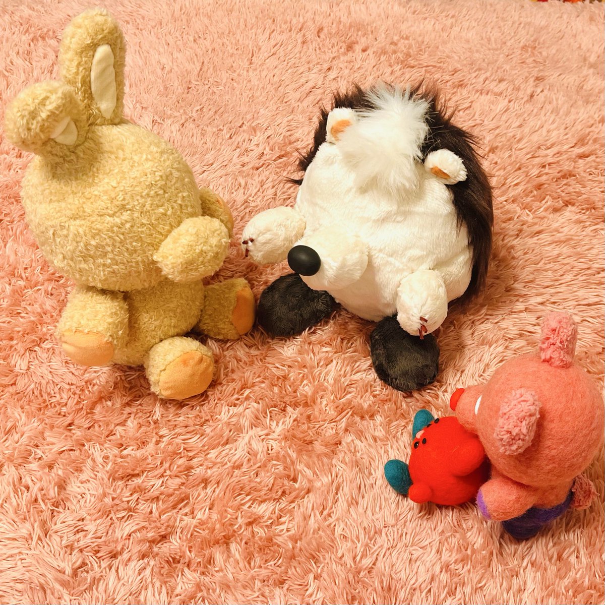 パッチャ🔴✨ tweet media