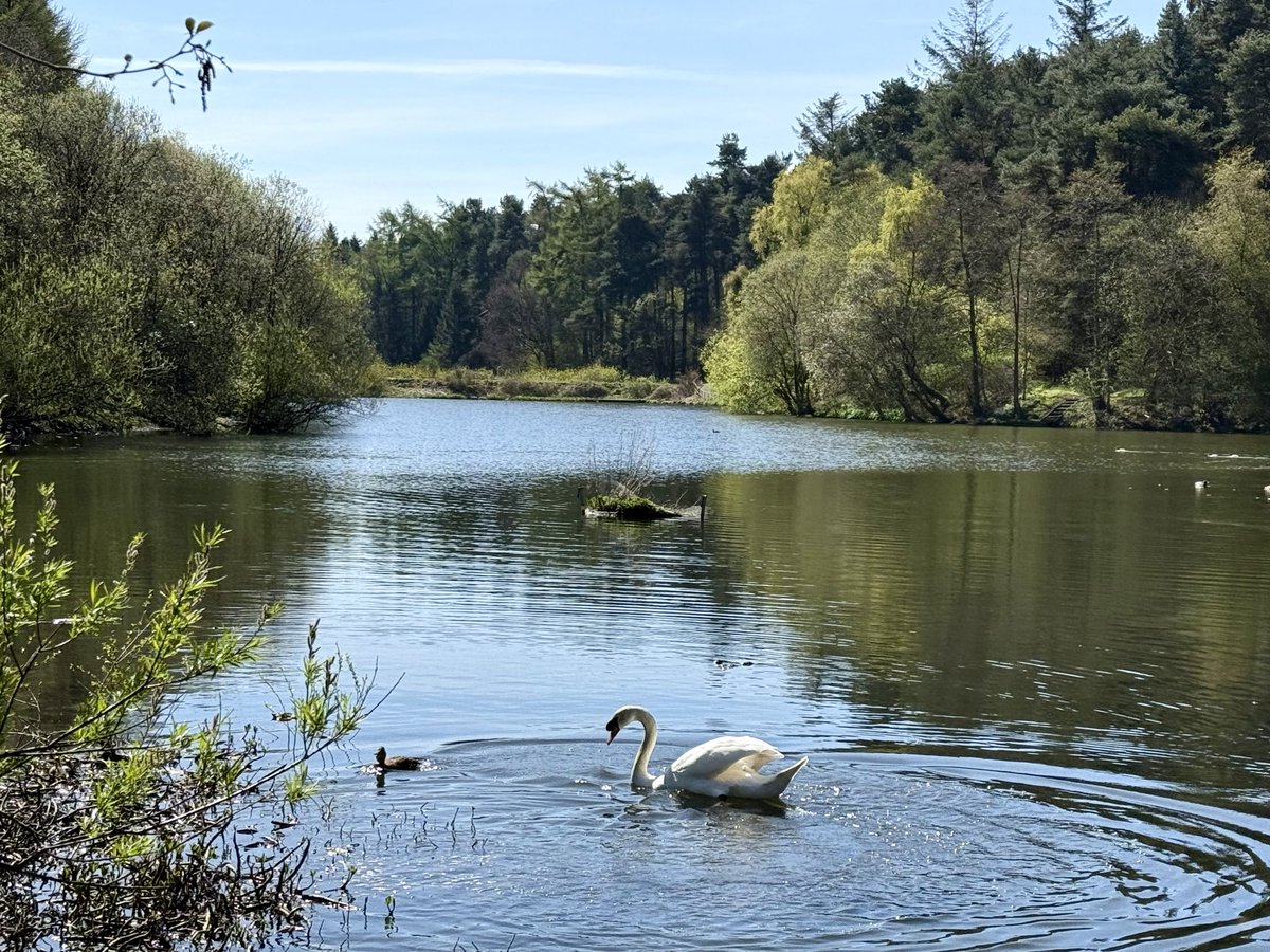 ElleBeePhotos's tweet image. In a world that is often too loud, fast, materialistic, driven by greed and the All-Go-Rhythm 😁, a walk in nature is a breath of fresh air that encourages us to slow down, value peace, quiet, and the free beauty around us all. 🕊️💚

#landscapephotography #AutismAcceptanceMonth