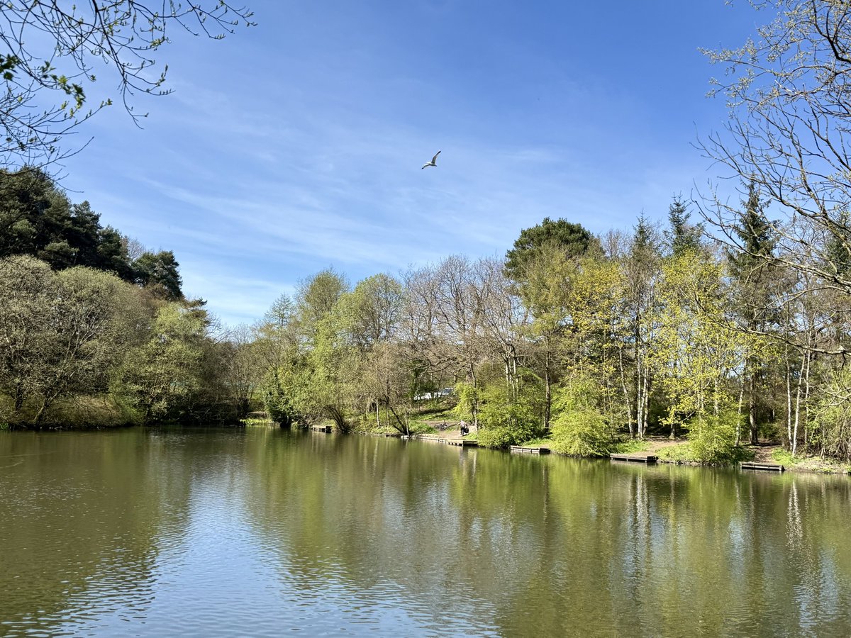 ElleBeePhotos's tweet image. In a world that is often too loud, fast, materialistic, driven by greed and the All-Go-Rhythm 😁, a walk in nature is a breath of fresh air that encourages us to slow down, value peace, quiet, and the free beauty around us all. 🕊️💚

#landscapephotography #AutismAcceptanceMonth