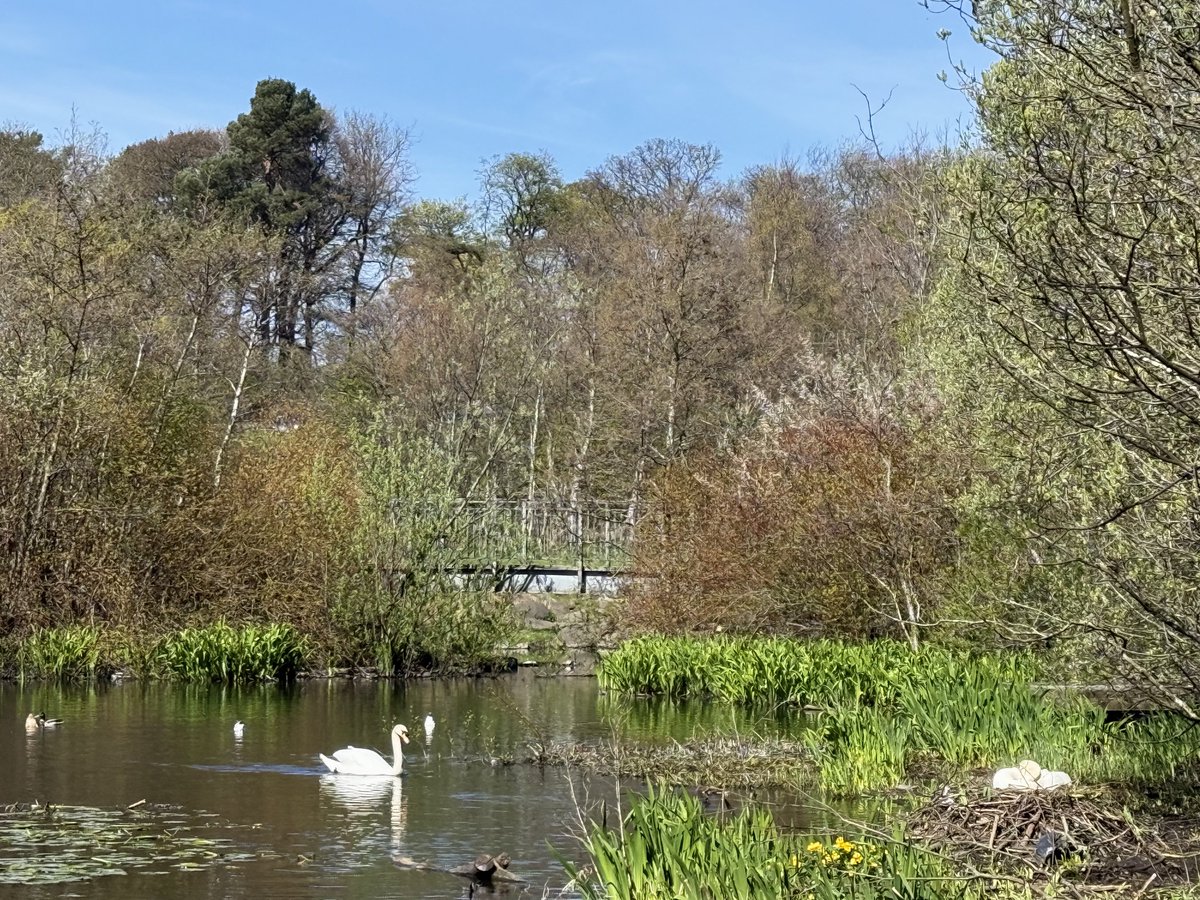 ElleBeePhotos's tweet image. In a world that is often too loud, fast, materialistic, driven by greed and the All-Go-Rhythm 😁, a walk in nature is a breath of fresh air that encourages us to slow down, value peace, quiet, and the free beauty around us all. 🕊️💚

#landscapephotography #AutismAcceptanceMonth