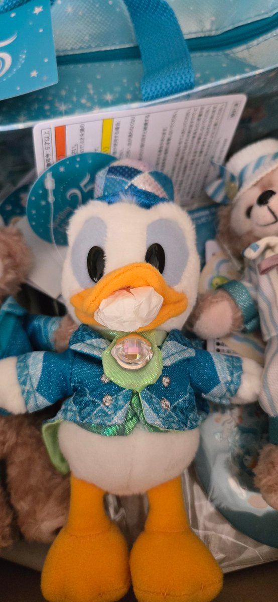 実は先日、ウィークナイトパスポートで、グッズとスーベニアを求めにシーへ行って来ました。
その時にオンラインでお買い上げしたグッズが本日到着。
ダッフィーの間に挟まれたドナルドのお口！
潰れないようになっていて、めちゃめちゃ感動✨

それにしてもこのグッズ達、何処に収納しましょうか……