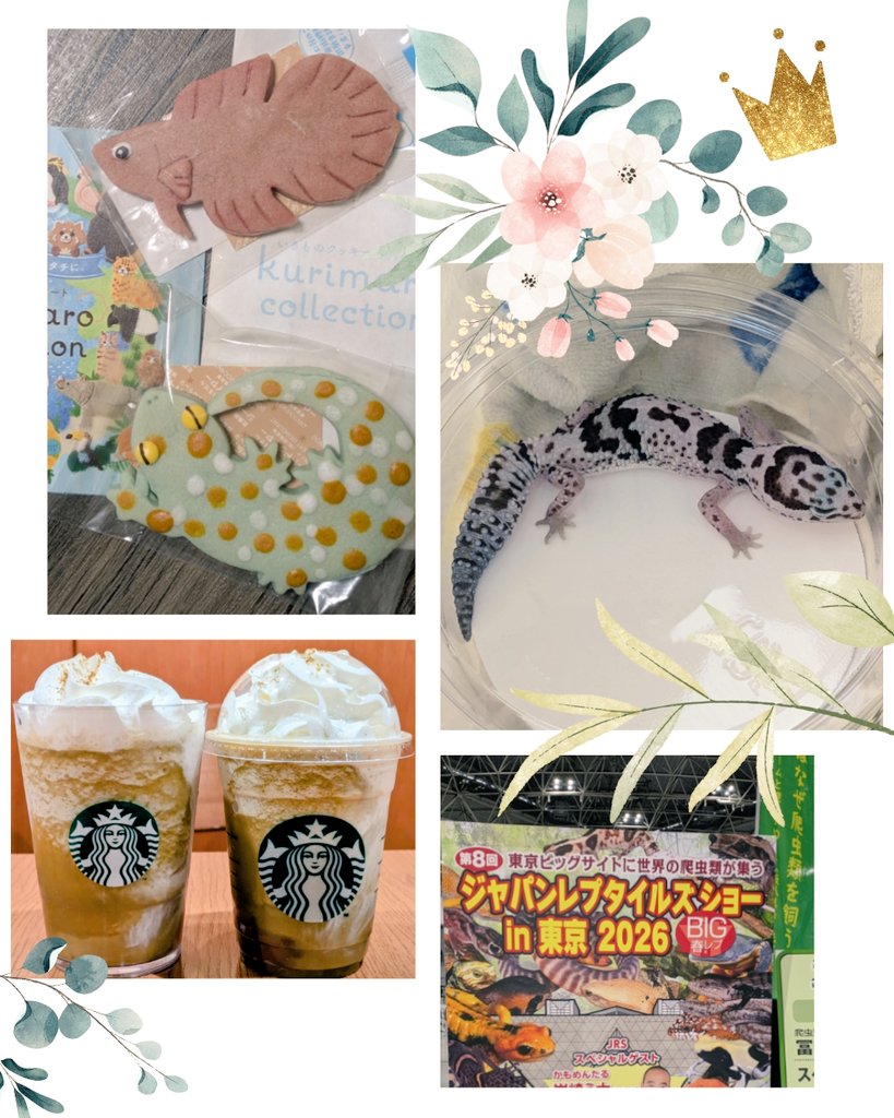 ヘムシュン tweet media