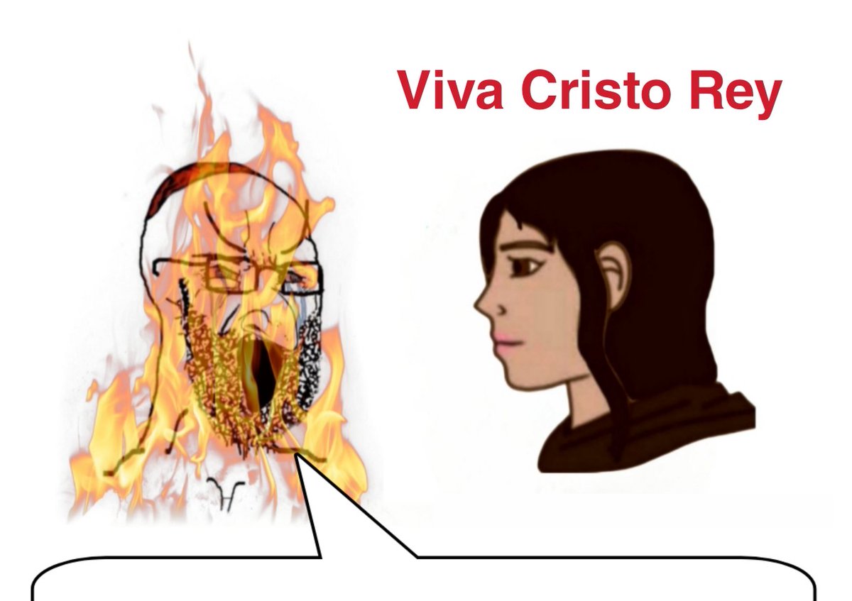 Joaope 🇧🇷🇻🇦 tweet media