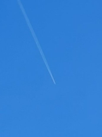 Lucy coco tweet media