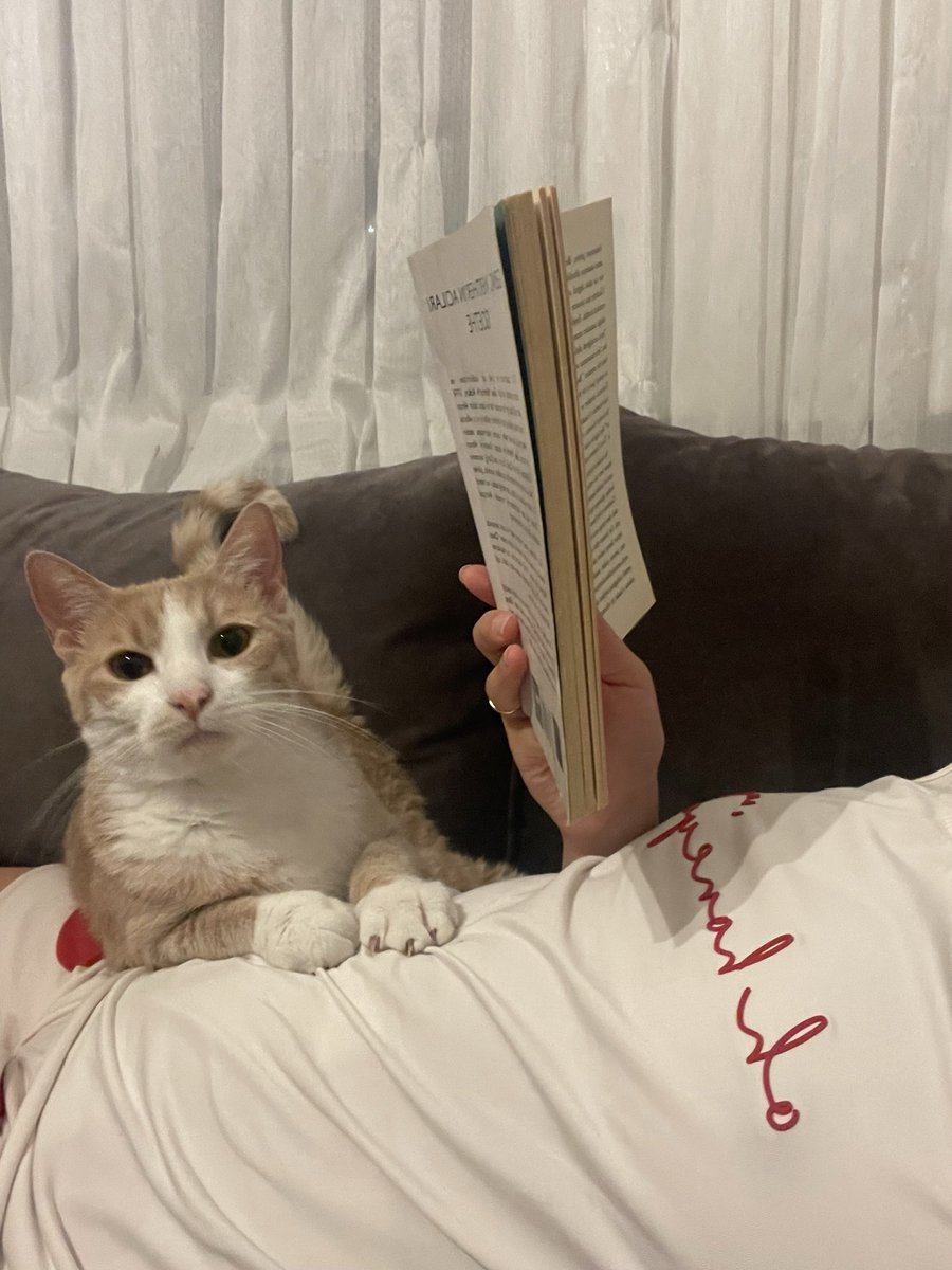 Çerez Çitos Bihter Behlül Poşetçi tweet media