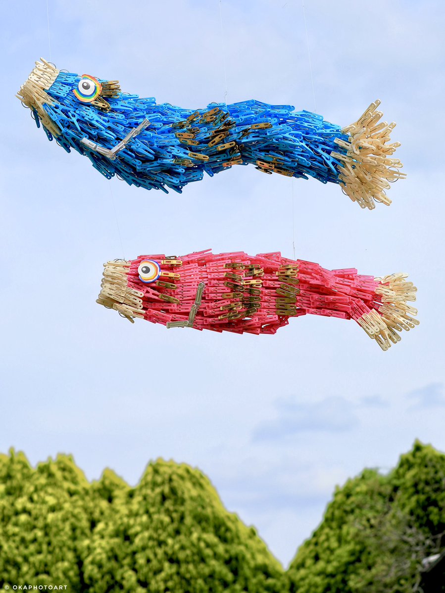 洗濯バサミフォトグラファー・岡本なう tweet media