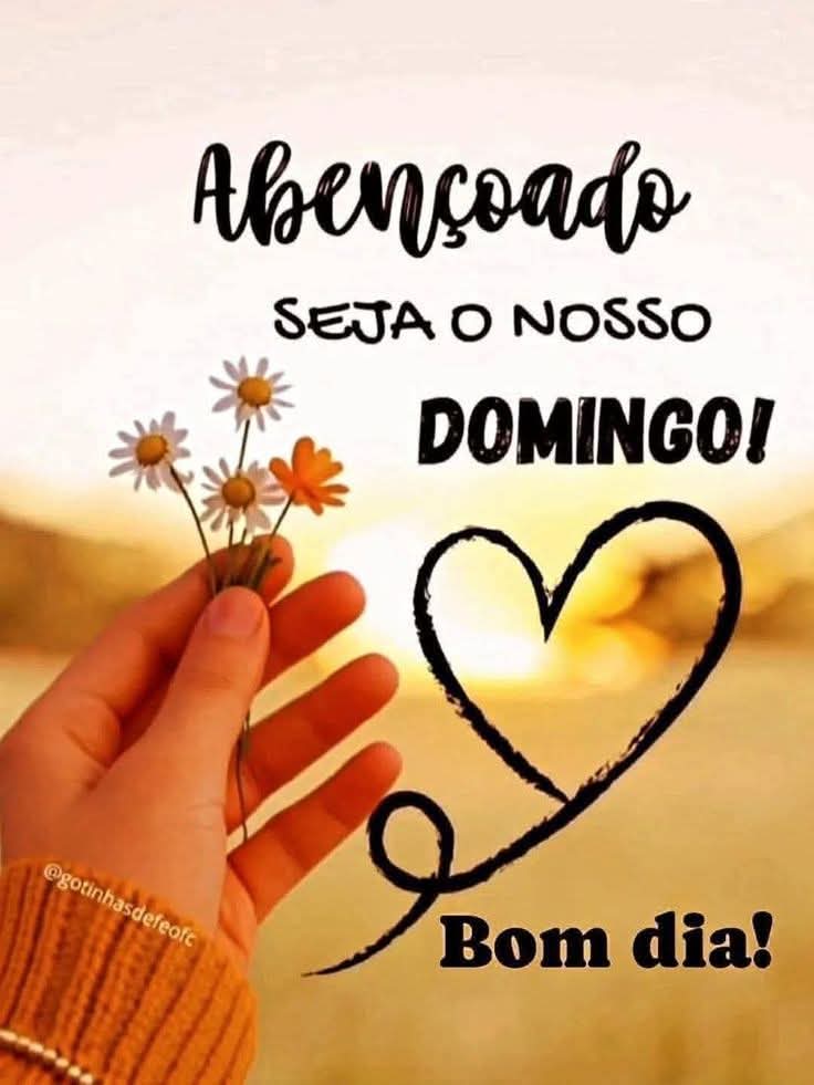 Rei das Indicações tweet media