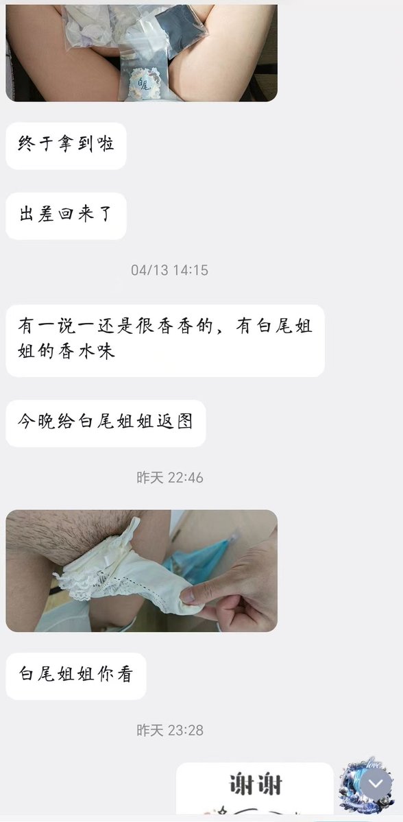 白尾 tweet media