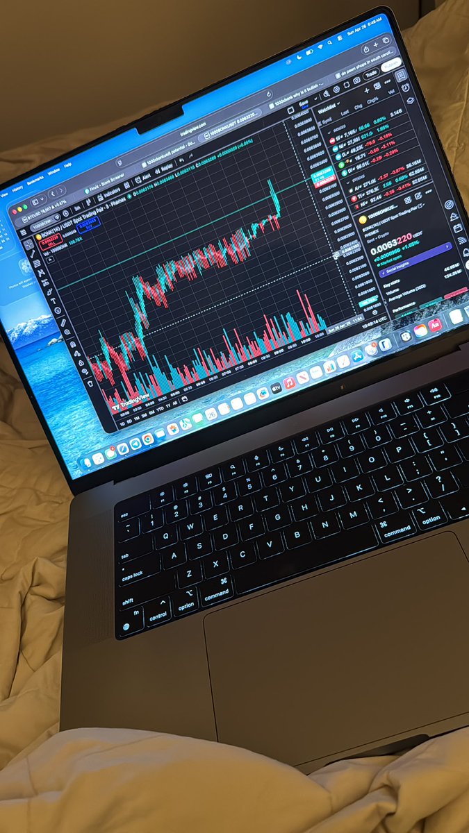 COIN SEDUCERS - 硬币诱惑者 tweet media