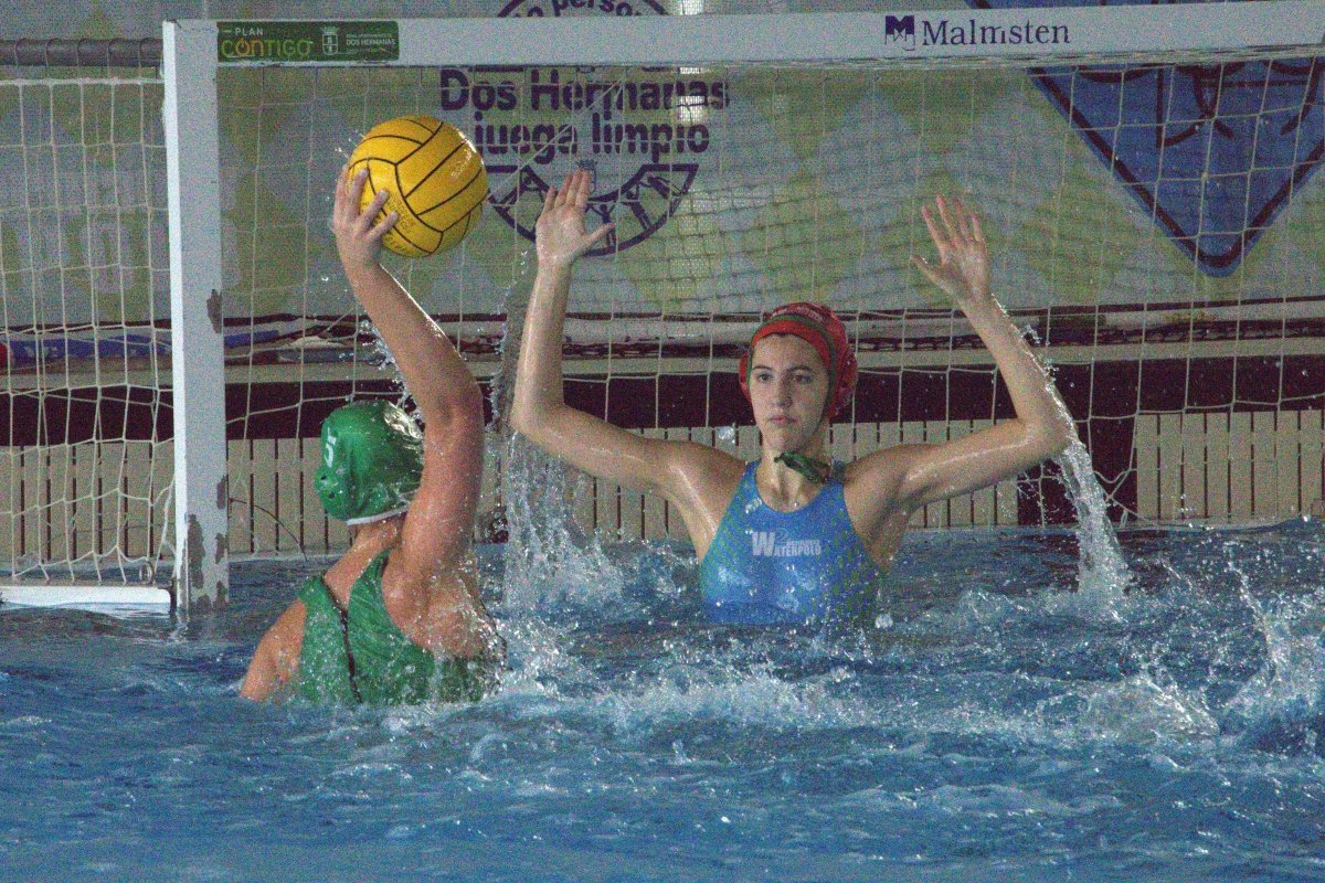 Club Waterpolo Dos Hermanas PQS tweet media