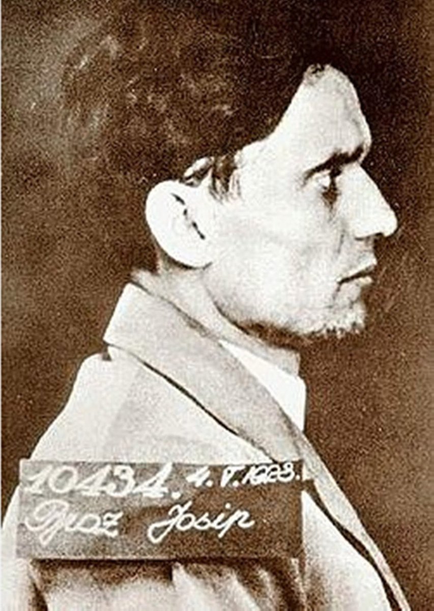 Синајски 🇷🇸 tweet media