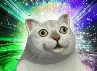 saquya＠もちもち動物 tweet media