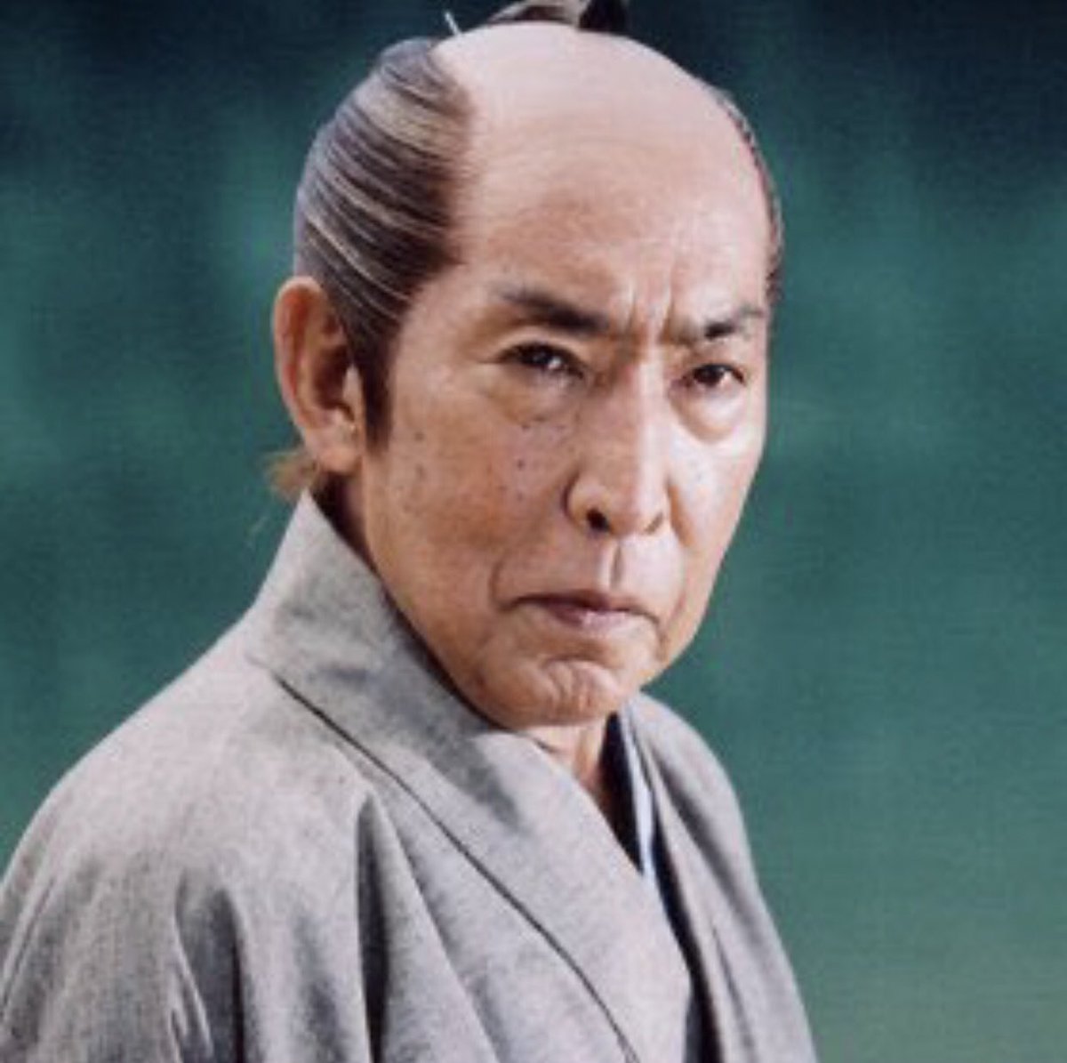 Cat is life ~猫は人生~ tweet media