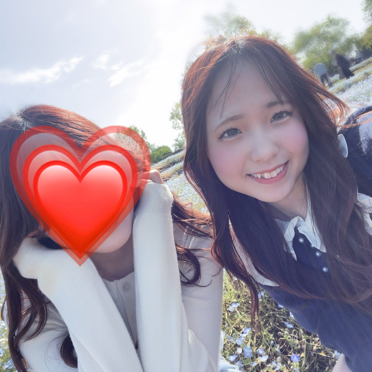 rel__000's tweet photo. ネモフィラ見に行ってきた❁⃘*.ﾟ天気よくて気持ちよかった〜
ちょっとフリーレンの世界味わえた気がした🤭 https://t.co/3Fv0Q91bJR